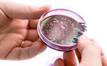 Batteri nella secrezione della prostata